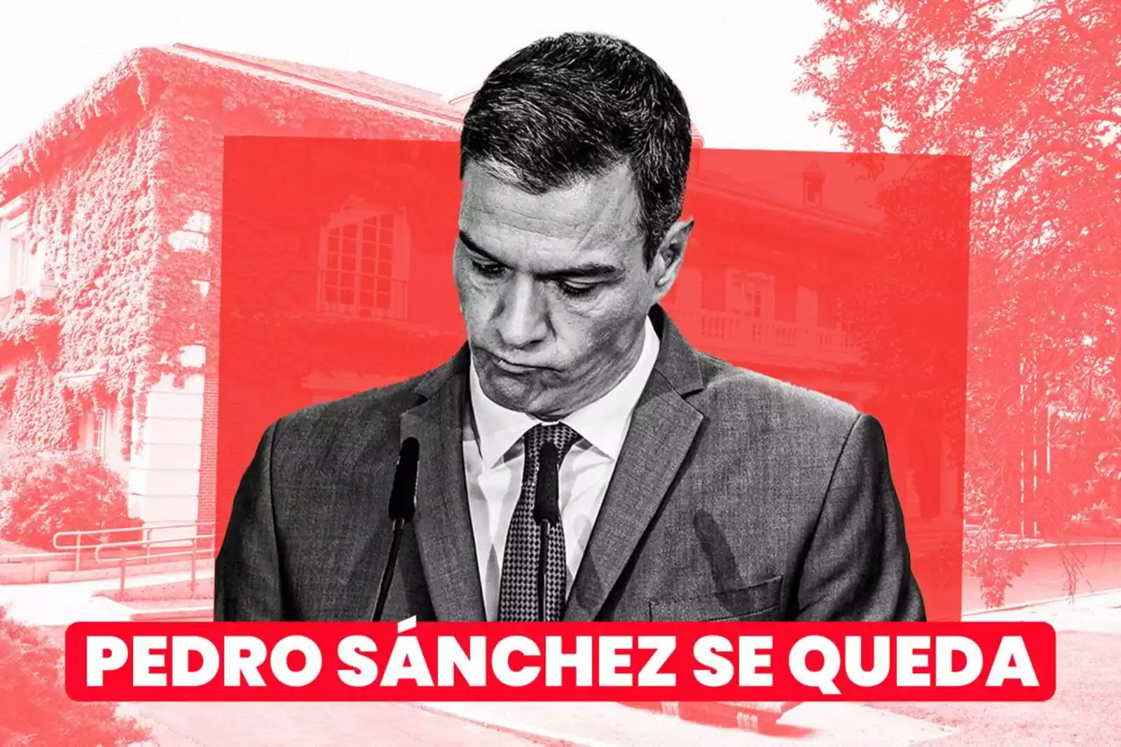 Pedro Sánchez se queda