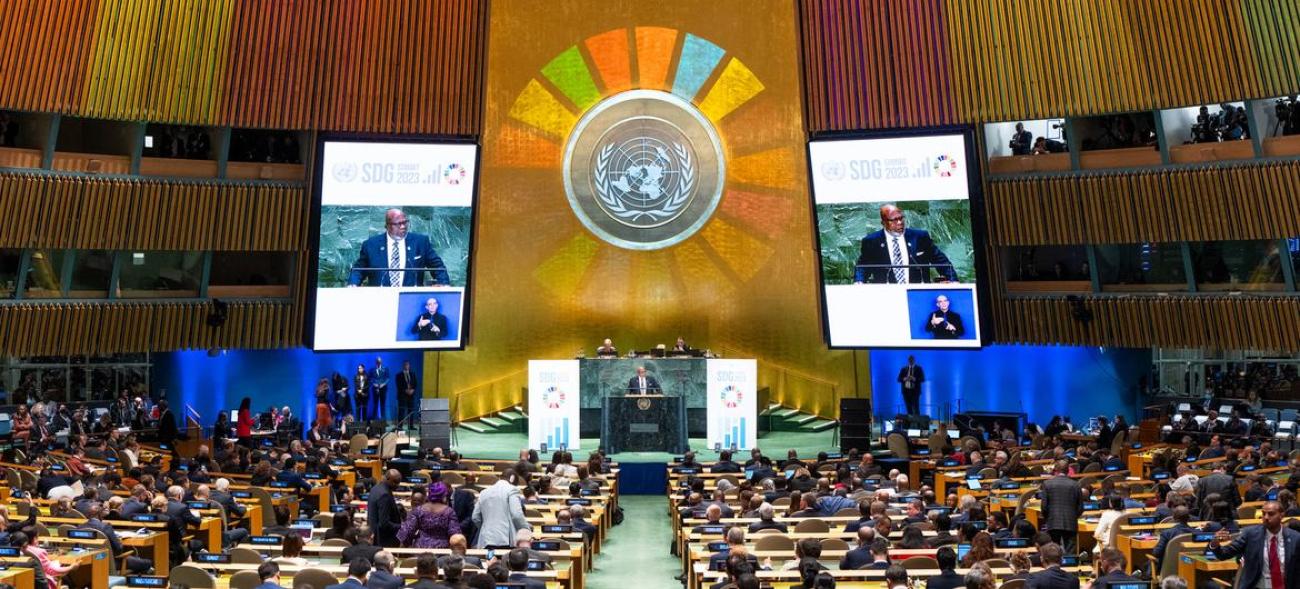 Consejo de la ONU