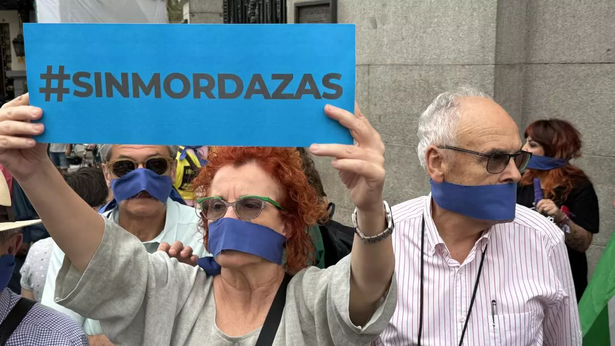 Una mujer se manifiesta contra la ley mordaza a las puertas del Congreso, el 22 de junio Nahia Peciña / Efe