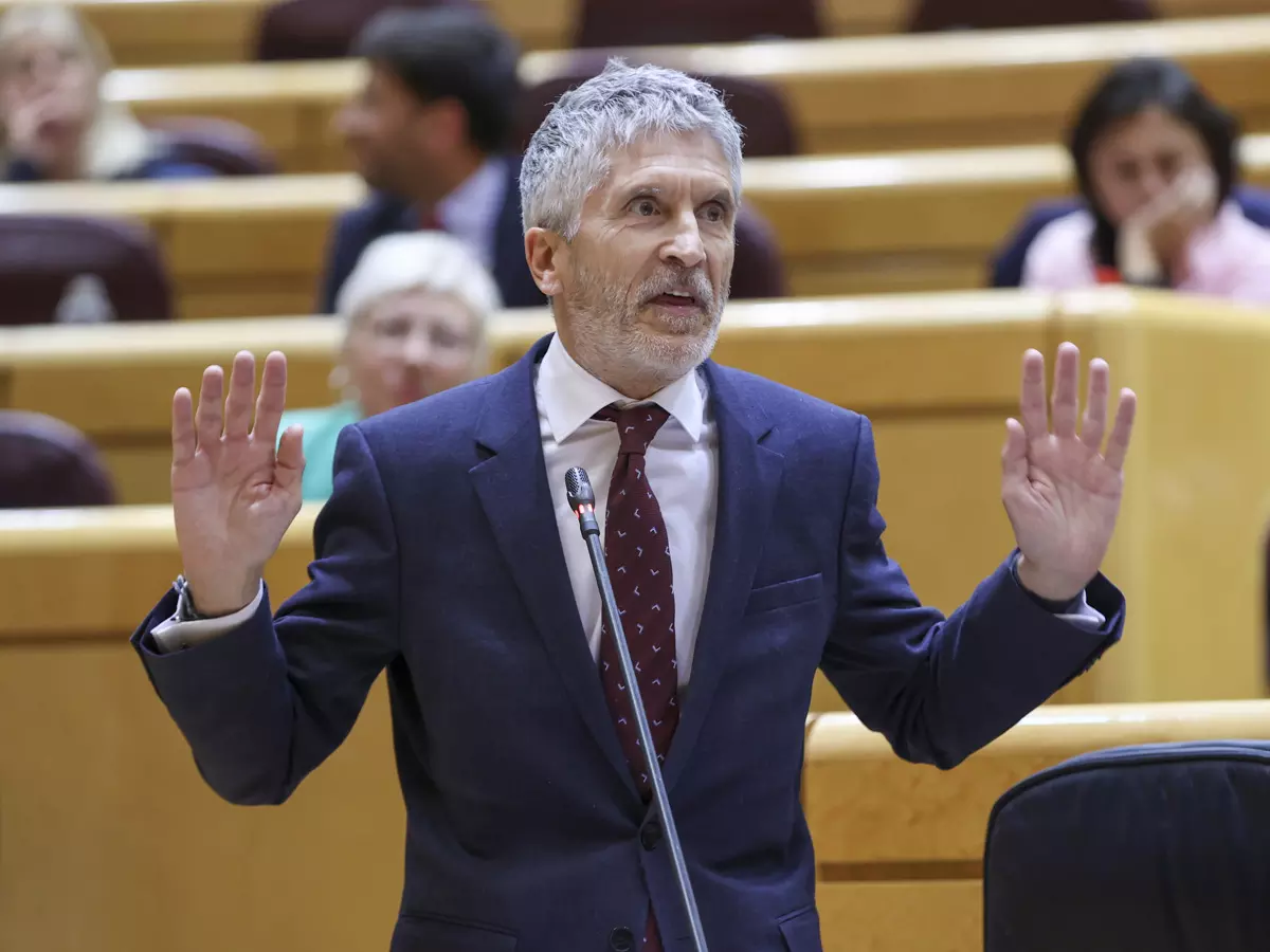 Marlaska en el Congreso