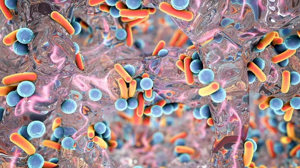 Biofilm de bacterias resistentes a los antibióticos. Ilustración 3D Kateryna Kon / Shutterstock