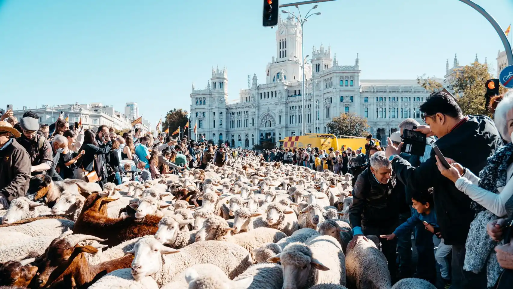 Ovejas en Madrid