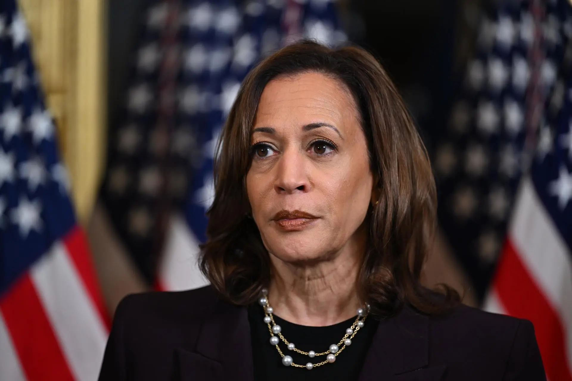 Vicepresidenta Harris