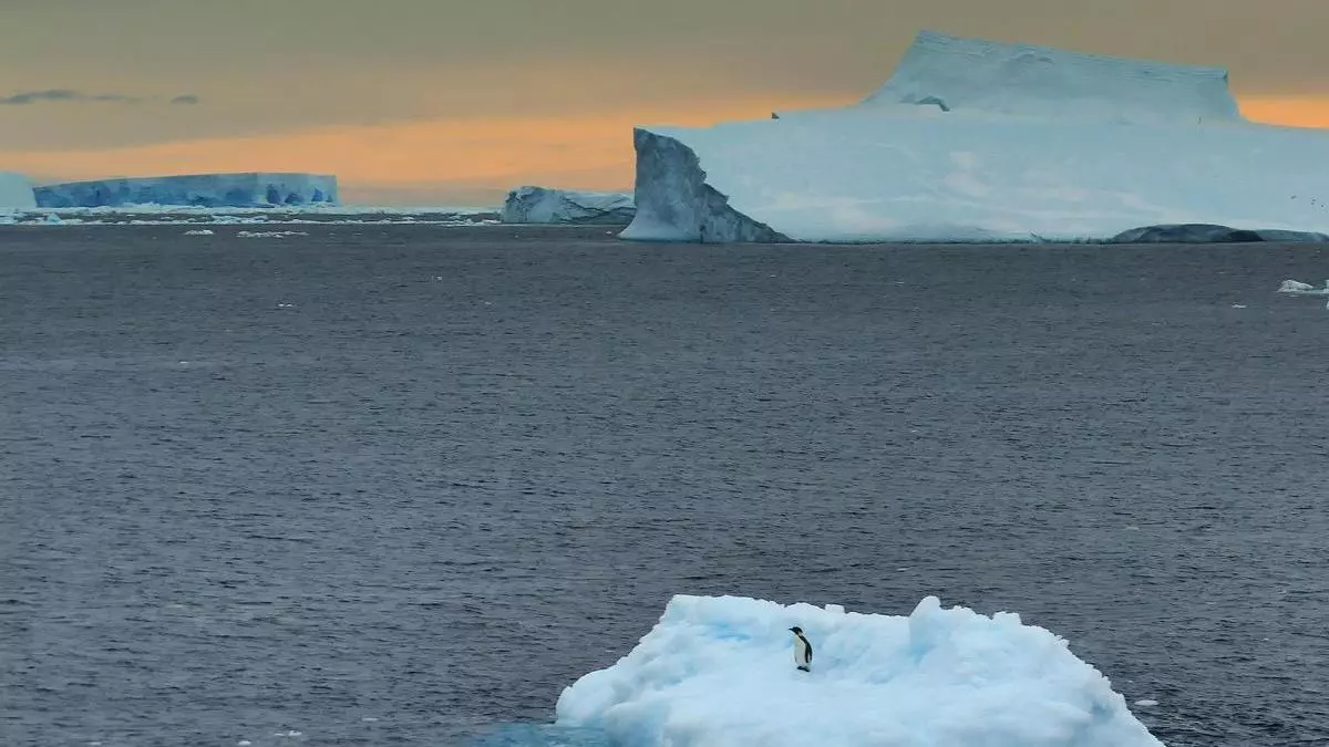 Un pingüino real, solo sobre un iceberg. Getty.