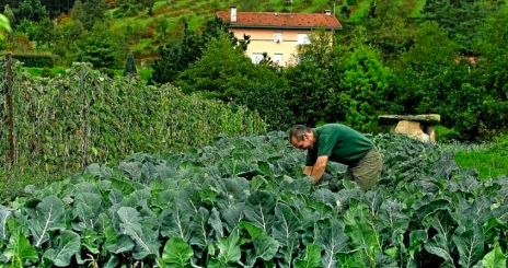 Agricultores