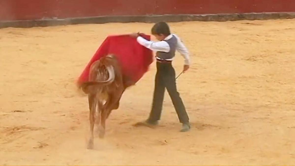 Niño torero