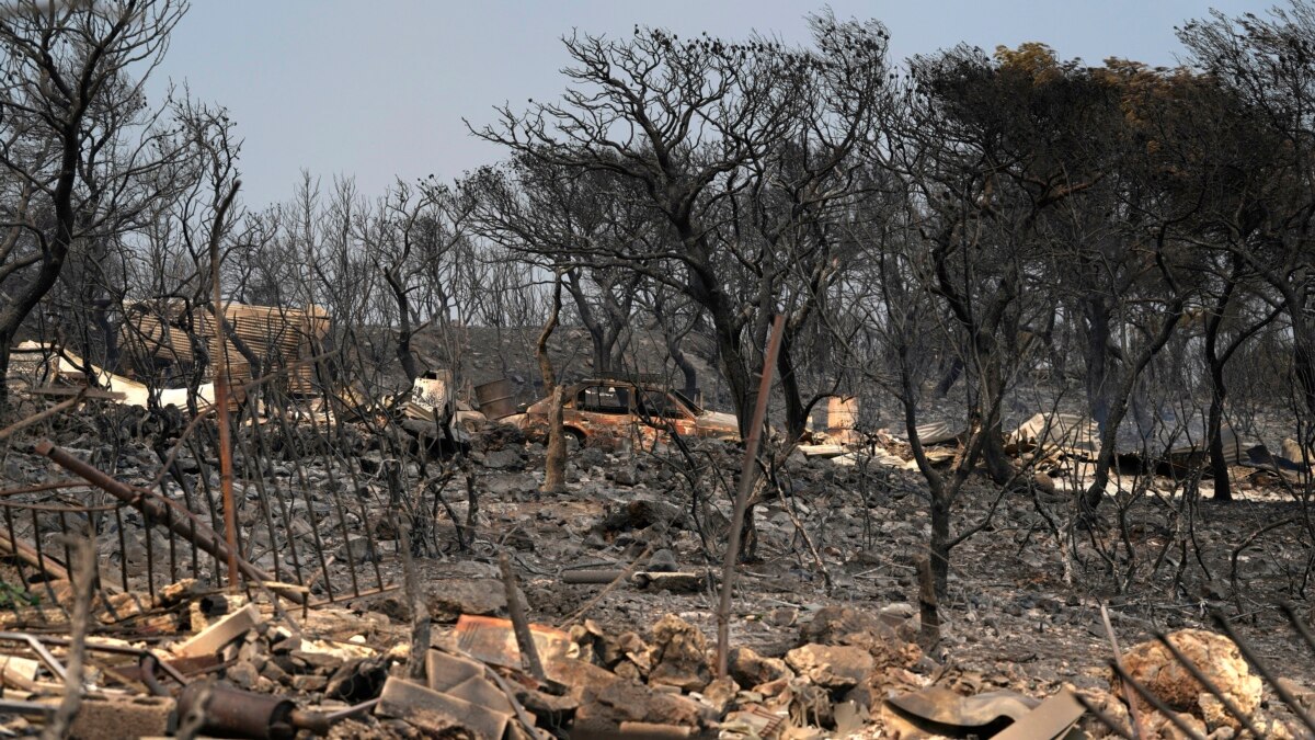 Arboles quemados en Atenas